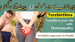 Terebinthina  Pait Main Gas  Peeshab Kerty Jalan  Urdu amp Hindi Understanding By Dr Tuqeer Akbar [upl. by Stedmann198]