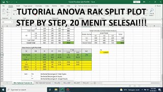 Anova Split Plot RAK Split Plot Design in Randomized Block Design [upl. by Nwahsirhc]