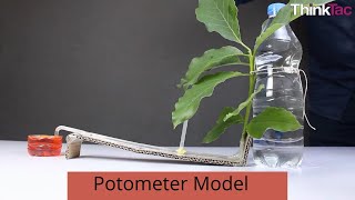 Potometer Model  ThinkTac [upl. by Trace]