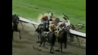 Horse Racing Accident Of Laffit Pincay [upl. by Skyler]