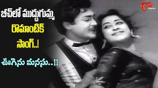 Geetanjali Sobhan Babu Superb Beach Song  Oogenu Manasu Song  Potti Pleader  Old Telugu Songs [upl. by Ledoux]