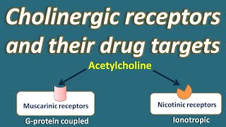 Cholinergic receptors and their drug targets [upl. by Enalb]