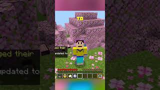 The best pc mod is here for Minecraft Bedrock minecraft fyp foryou [upl. by Ennyletak792]