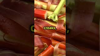 Did you know this about Rhubarb🤯 plants bature facts shorts [upl. by Akinaj]