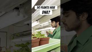 My experiment with Plant DNA 🧬  Tamil Scientist in Germany scienceexperiment tamilsciencechannel [upl. by Layor]