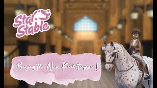 Star Stable Online  Buying the New Knabstrupper Horse [upl. by Ahsitan]