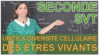 Unité et diversité cellulaire des êtres vivants  SVT Seconde  Les Bons Profs [upl. by Nuris]