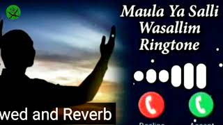 Maula ya salli wa sallim slowed reverb  Maula ya salli wa sallim  unique faheem [upl. by Rusel947]