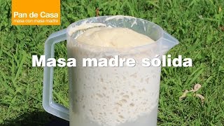 Receta Masa Madre Sólida [upl. by Glennon]