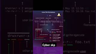 Linux file all permissions filepermissions linux kali linuxpermission tools viral newvideo [upl. by Aihsekan]