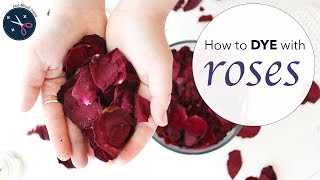 Roses dye yarn or fabric pink  mauve  natural dye tutorial  Last Minute Laura [upl. by Ettenuahs79]