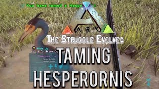 Ark Easiest way to tame a hesperornis xbox one [upl. by Xineohp]