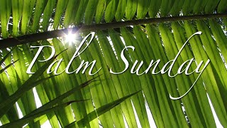 Palm Sunday [upl. by Lou333]