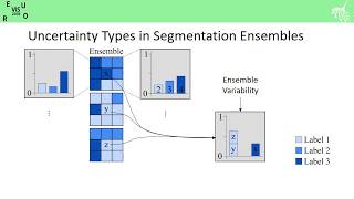 FastForward Exploring Uncertainty in Image Segmentation Ensembles EuroVis 2018 [upl. by Marigolda]