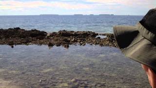 Majuro Airport Beach Marshall Islands Berger [upl. by Yvan714]