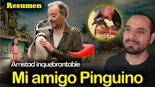 🐧 Mi amigo Pinguino Resumen  Un Vinculo PATERNO y de AMISTAD Trascendente [upl. by Zephan]