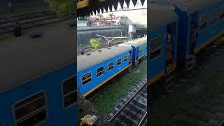 blue amp yellow line🇱🇰 train srilankatrain asiancountry ceylon srilankarailway southasia [upl. by Nnyleitak]