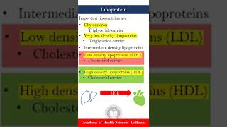 Lipoproteins HDL vs LDL  Biochemistry  by Imran Yaseen [upl. by Otte]