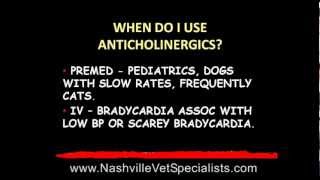 Nashville Vet Specialists Anesthesia Issues Part 2 [upl. by Oigufer]