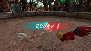 Far Cry 6Rooster Fight [upl. by Doownil]