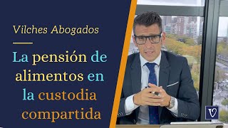 🔴 La Pensión de Alimentos cuando hay custodia compartida  Vilches Abogados [upl. by Nalym]