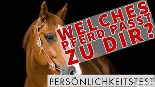 ❤️️ Welches Pferd passt zu dir Persönlichkeitstest ❤️️ [upl. by Dorolice]