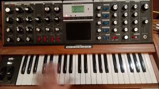 Moog Minimoog Voyager  sharp sounds [upl. by Anavoj]