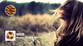 MitiS  Breezes Original Mix [upl. by Antin941]