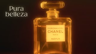 Chanel Coromandel Extracto [upl. by Gavriella752]