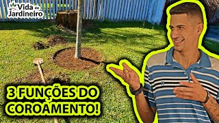 Como fazer coroamento em árvores e frutíferas  Vida de Jardineiro [upl. by Labanna237]