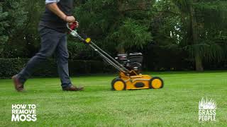 How to Remove Moss from your Lawn  Great Lawns Made Simple [upl. by Abbotson183]