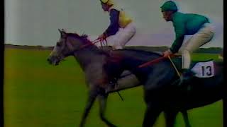 1984 Dewhurst Stakes Kala Dancer  Replay amp Enclosure [upl. by Ahsercul]