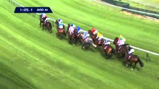 Revivez le Qatar Prix Daniel Wildenstein 2014 [upl. by Nuyh]