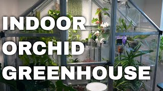 My Orchid Indoor Greenhouse  Enclosure DIY Setup Light Ventilation Humidity Watering [upl. by Hazlip801]