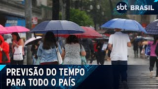 Chuva e vendaval 17 estados e o DF estão em alerta veja previsão do tempo  SBT Brasil 131124 [upl. by Sparks325]