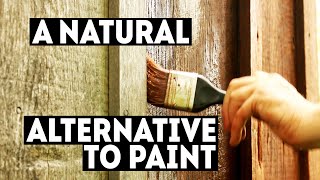 Natural Alternative to Paint for Wood Siding [upl. by Aaronson206]