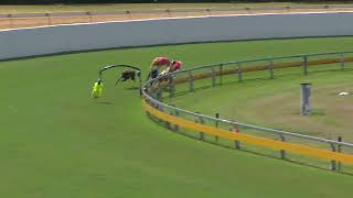 Bundaberg16092024Race4 [upl. by Persis]