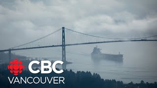 Safeguarding BC bridges against potential ship collisions [upl. by Yila678]