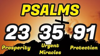 Psalms 233591 THE ESSENTIAL PSALMS FOR ABUNDANCE BREAKING SPELLS AND PROTECTION [upl. by Eniamraj]