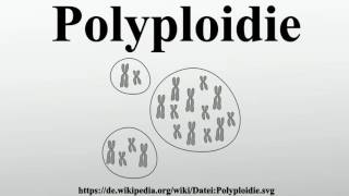 Polyploidie [upl. by Alvarez250]