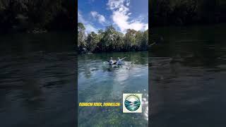 Kayaking the Rainbow River ☀️💦 clearkayak rainbowriver exploreflorida kayaking floridaspings [upl. by Goldston738]