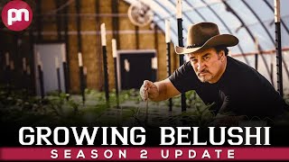 Growing Belushi Season 2 Why got Cancelled  Premiere Next [upl. by Tullus]