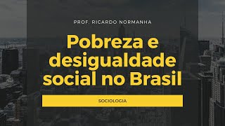 Pobreza e desigualdade social no Brasil [upl. by Rimahs]