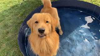 LIVE  Tucker Gets a Bath Outside [upl. by Nitsew551]