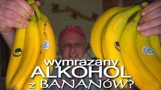 wymrażany BIMBER z BANANÓW 13 Ugandan Waragi  FREEZE Distillation ¦ Dom Pachnący Żywicą [upl. by Sarat]