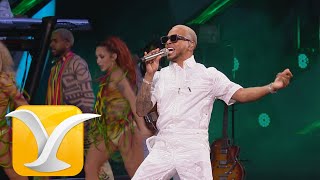 Ozuna  Te Vas  Dile que tú me quieres  Festival de la Canción de Viña del Mar 2020  Full HD [upl. by Hannah470]