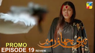 Teri Chhaon Mein Episode 19 Promo amp Teaser  Review  Danish Taimoor [upl. by Juliette]