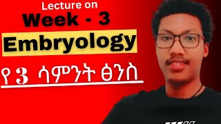 Week  3️⃣ Embryology የሦስተኛው ሳምንት የፅንስ እድገት gastrulation third week embryo development ethiopia [upl. by Tindall]