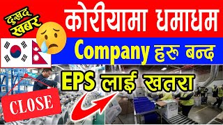 धमाधम कोरियामा Company हरु बन्द ll Eps लाई खतरा ll Update [upl. by Yeslek]