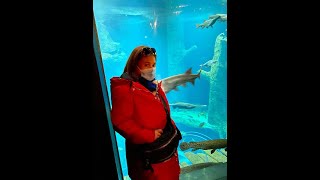 AQUATIS Aquarium in Lausanne part2 Switzerland [upl. by Slaughter]